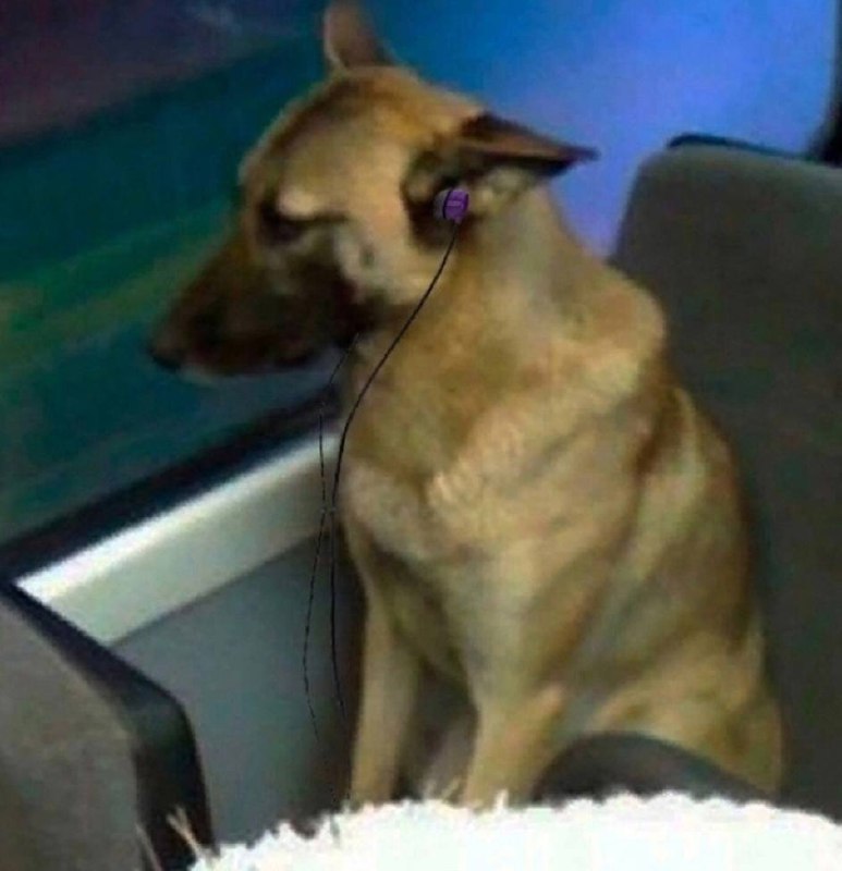 когда едешь с работы и понимаешь, что дома тебя ждёт всего 4 часа личной жизни: