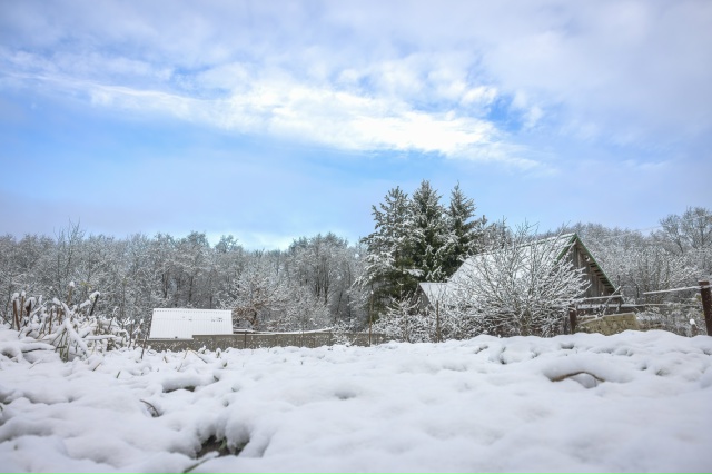❄ Привет зима, мы ждали!
Традиционно встретили первый ...