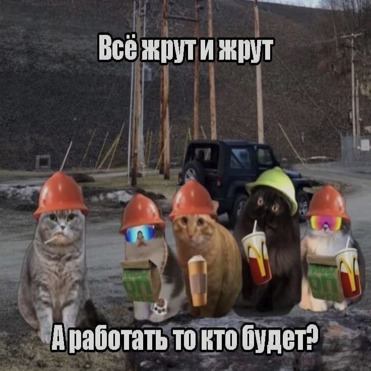 Ночная подборочка
Спать, режим