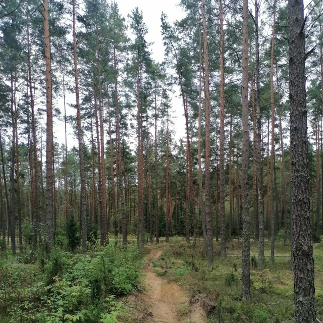Доброго утра, Никольск❤