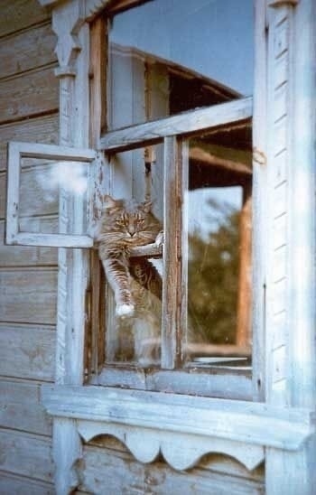 Какие же они все красивые…
Рекомендации на день 👉 max.r...