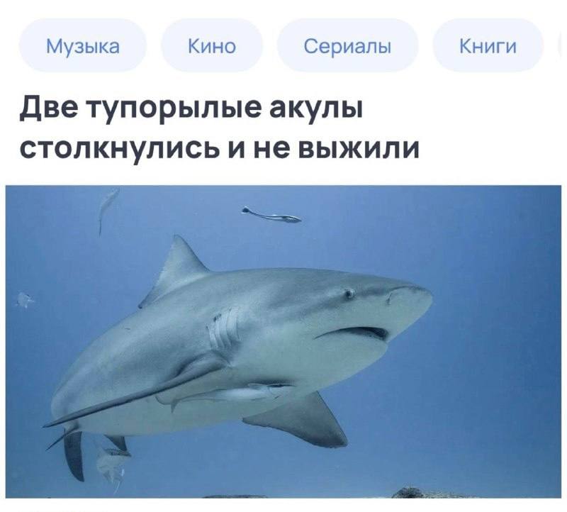 я, когда получу права, и мне нужно будет уступить дорогу пешеходу, который пропускает меня