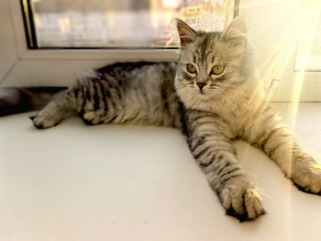 Шушечка ❤️