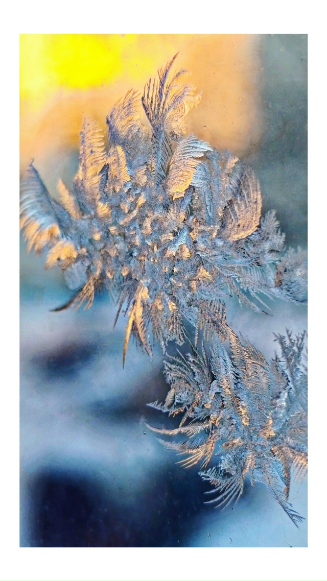 Мороз на окнах рисует ❄️