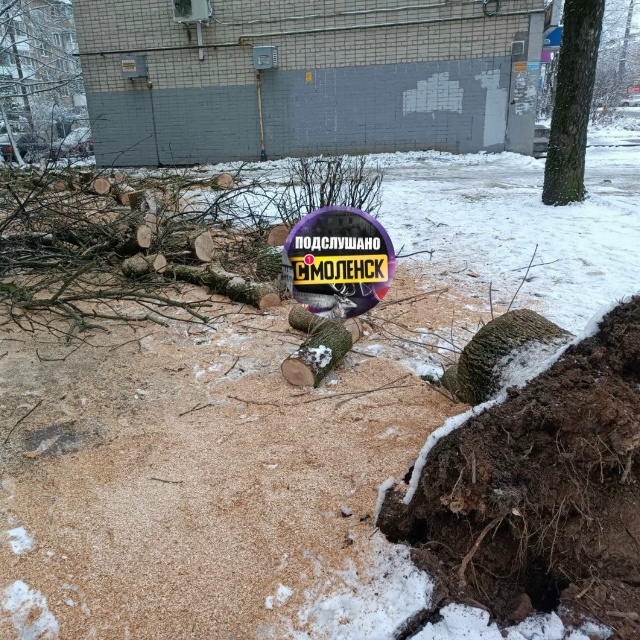 Сегодня на улице Нормандия-Неман в Смоленске произошл?...