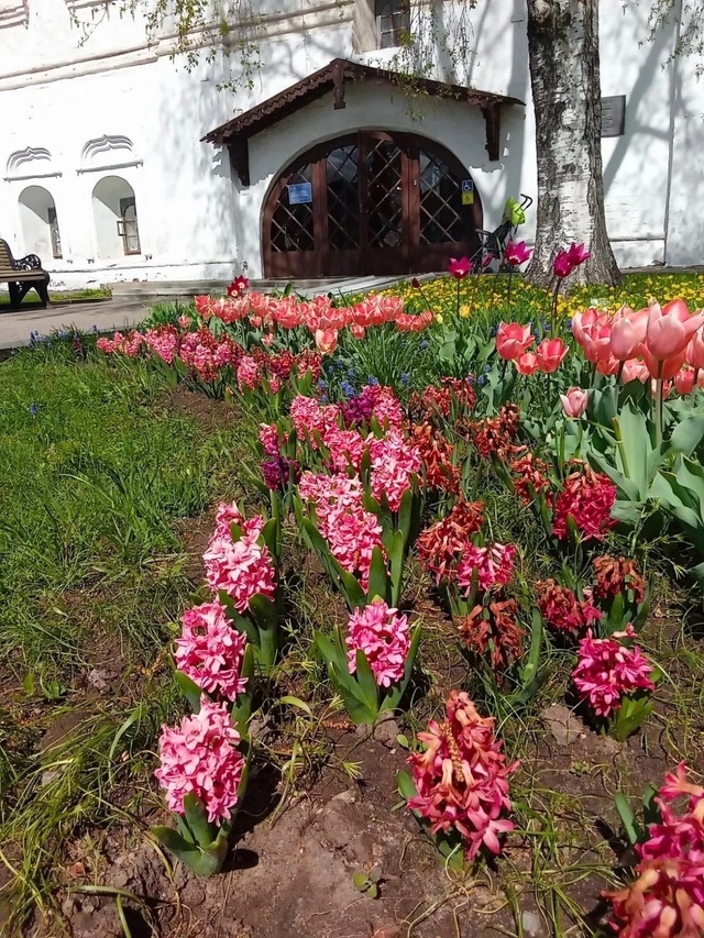 Май в Ярославском музее-заповеднике 🌱 Ярославль ❤️
?...