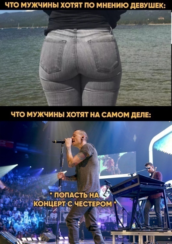 Верните нам концерты