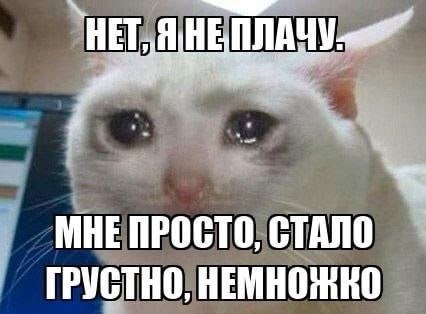 #Console0x 🎮
Когда делал последний пост, всем, кто запрашивал выводы - деньги пришли, но уже на сле
