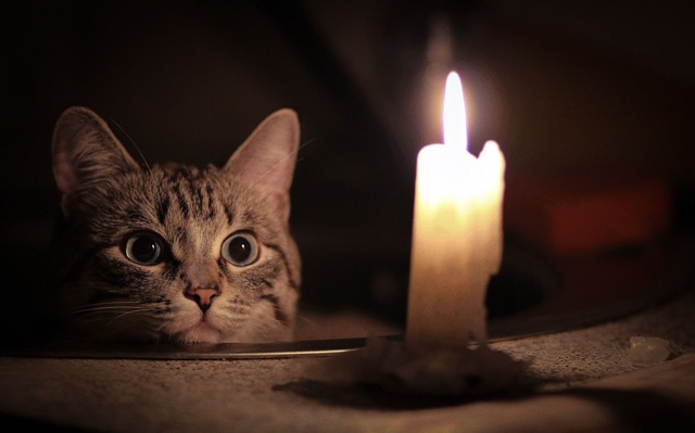 Свердловский РЭС информирует
Уважаемые жители!
💡Све?...