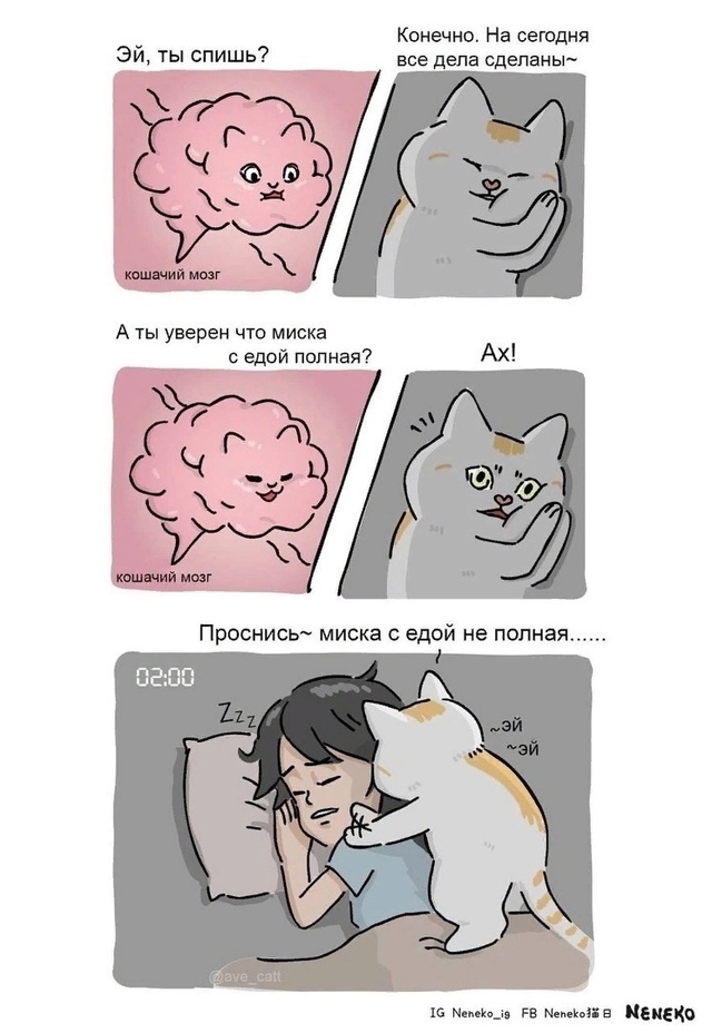 Так вот оно что..