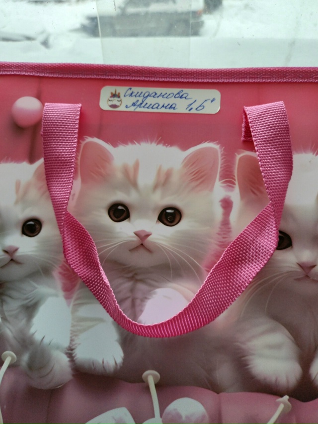 Ваш портфель находится ул. Серова, д.6