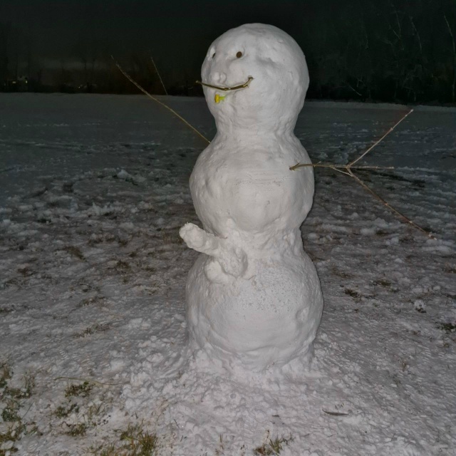 Жители делится своими☃ снеговиками
Ну что сказать: к...