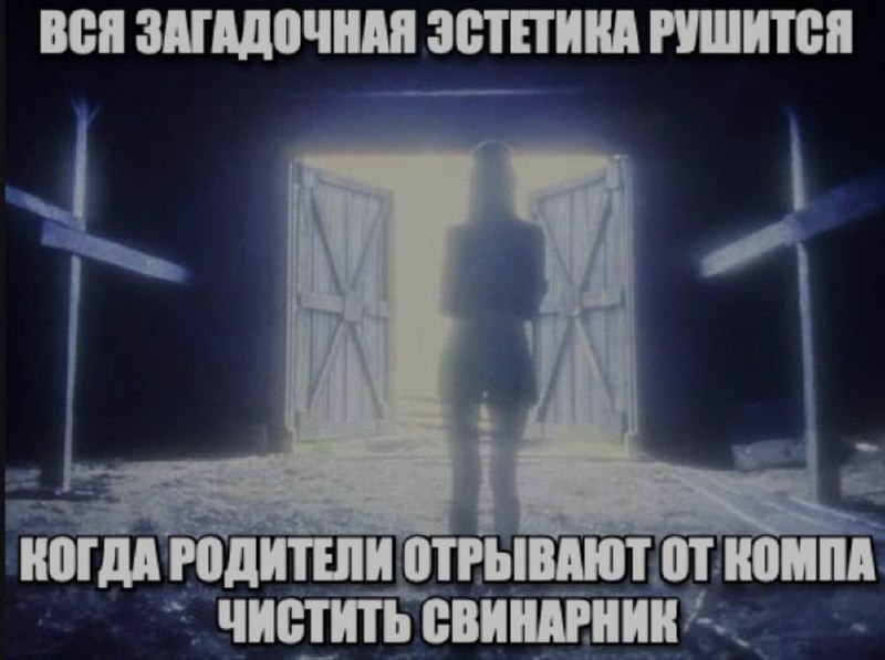 Ночная подборочка
Спать, режим