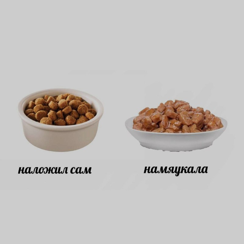 Ночная подборочка
Спать, режим