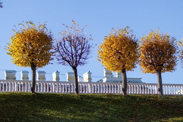 Придумайте подпись к фото. Ваши варианты ждем в коммен?...