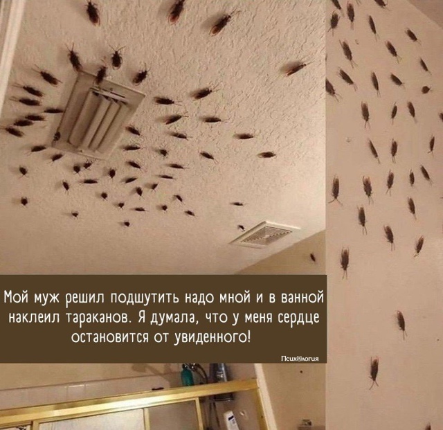 И как она ему теперь отомстит? 😅