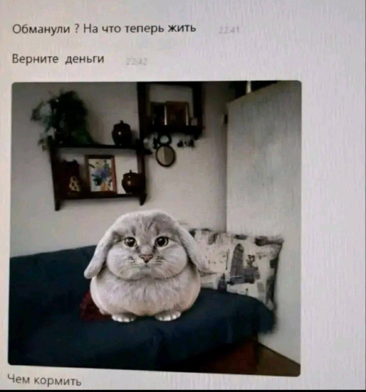 Утренняя подборочка