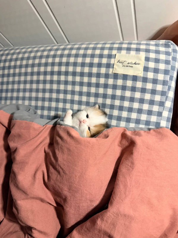 Доброе утря :3