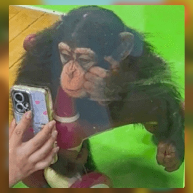 Безумные приколы
Зависимость от коротких видеоролико?...