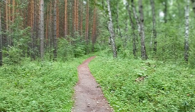 Доброго утра, Никольск❤