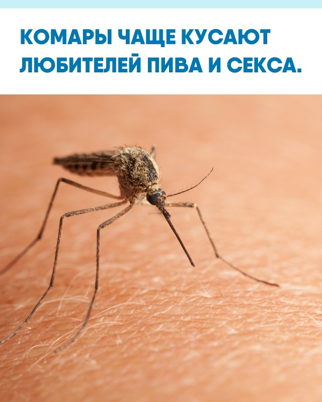Учёные выяснили, что после пива и секса кожа человека в...