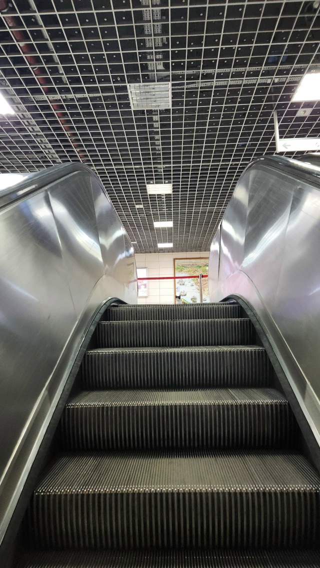 Котики Стамбула