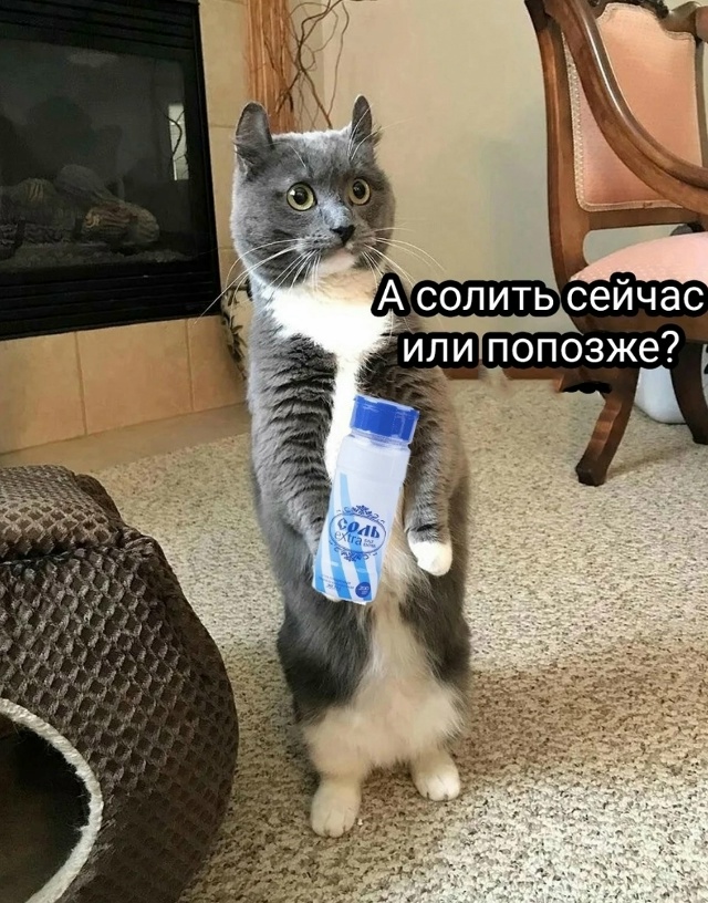 Когда съехал от родителей