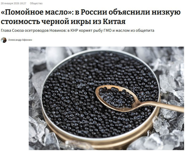Палёная чёрная икра из Китая массово поступает на российский рынок, сообщили в Союзе осетроводов.