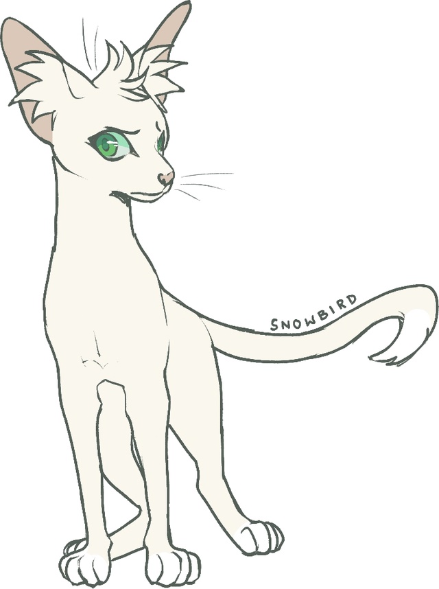 Снежинка
© Nifty-Senpai
#KV_ZZ_ART