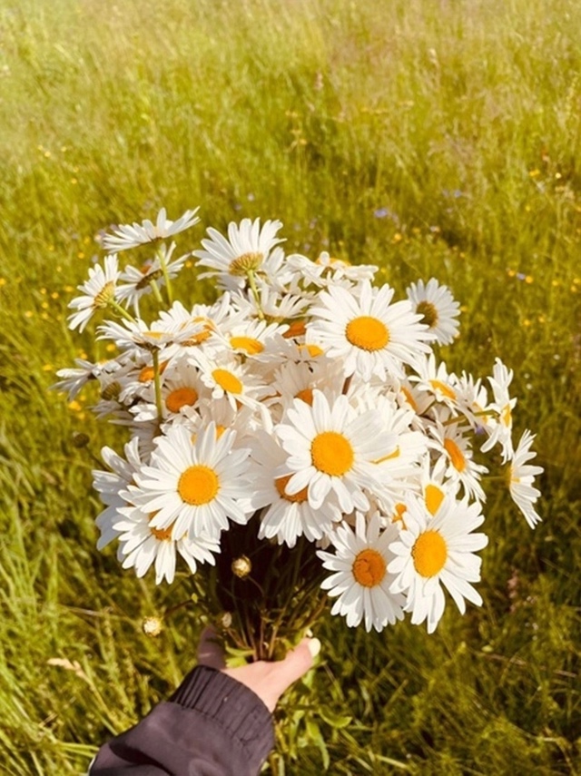 «лето — это маленькая жизнь» 🧡🌿