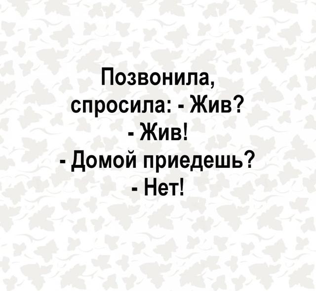 Вот так надо с ними😅