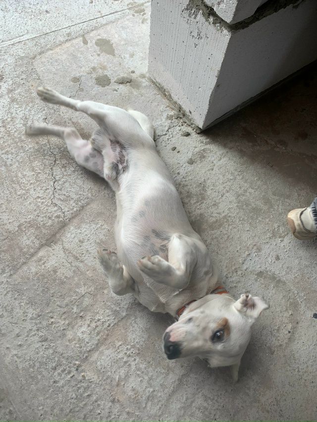 Потеряшка
Чей?
Спутник-1