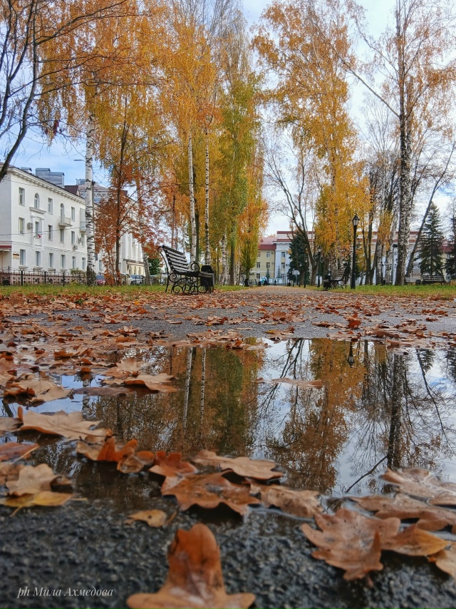 Сквер за Дворцом культуры ,, Жигулёвский,,