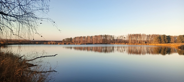 Пруд в Барашево Ульяновской области, кто знает сколько...