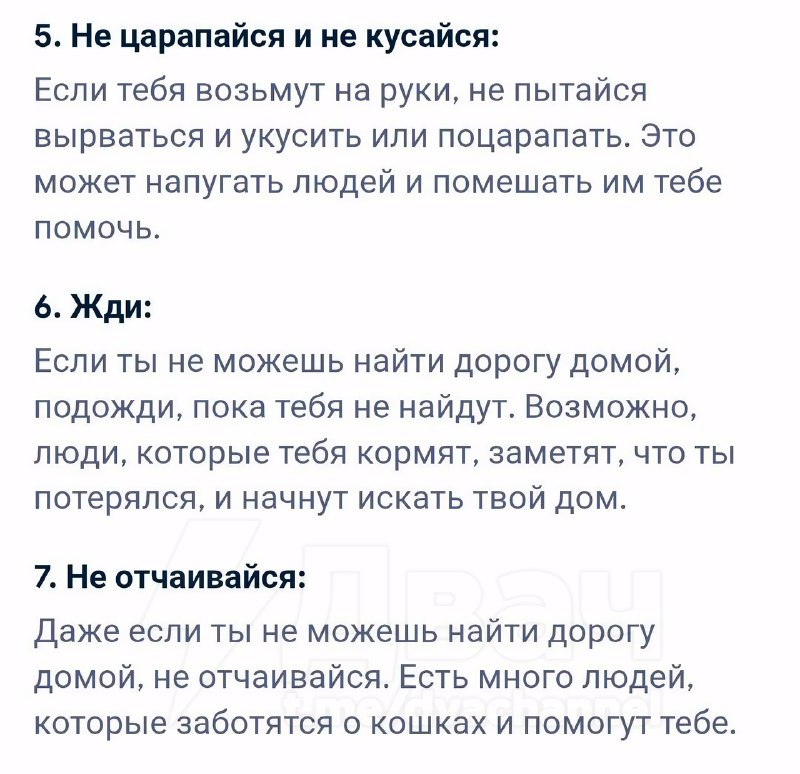 Наконец-то поисковая нейросеть гугла выдала реально полезный совет