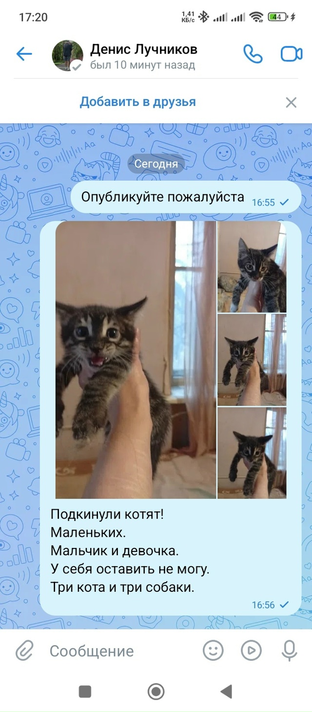 89824921258. Пишите только ватсап