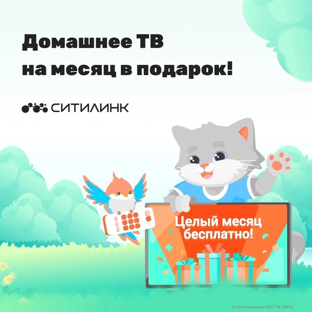 Домашнее ТВ «Ситилинк» на месяц в подарок!
✅ более 110 к...