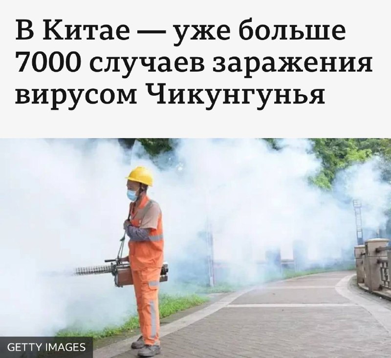 Ощущение, что сценарий повторяется. Буквально второй сезон сериала про ковид.
Самое время отыскать