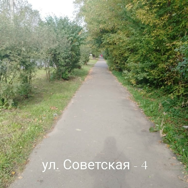 ‼️ Уважаемые Озеленители придомовых территорий. Вы к?...