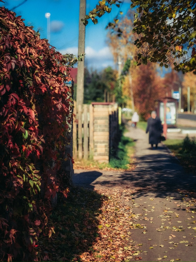 Продолжаем наблюдать нашу Воскресенское золотую осен?...