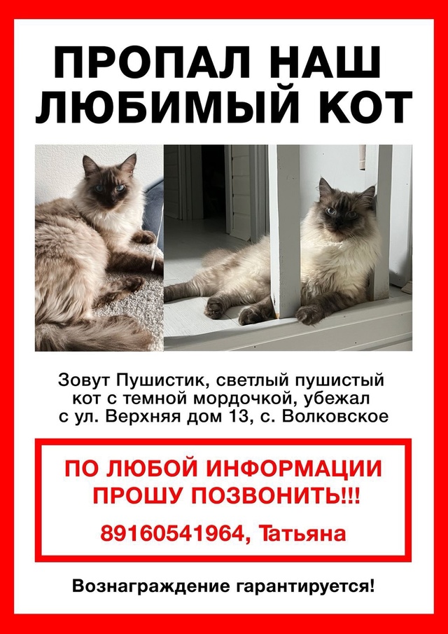 Добрый день! Пропал кот, может кто увидит, просьба сооб...