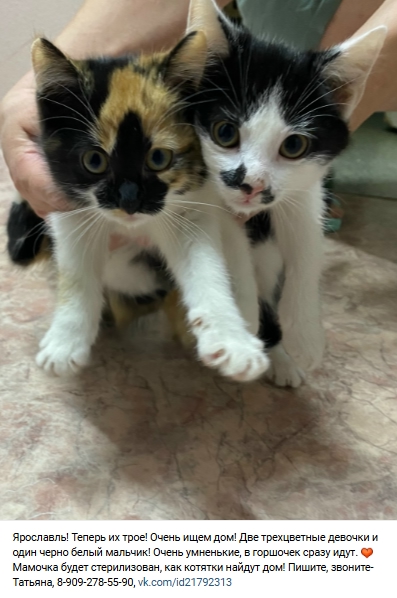 Пост добра. Распространите, пожалуйста.