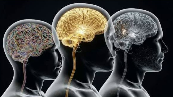 🤯 Подростковый период длится до 32 лет, — учёные.
Иссл?...