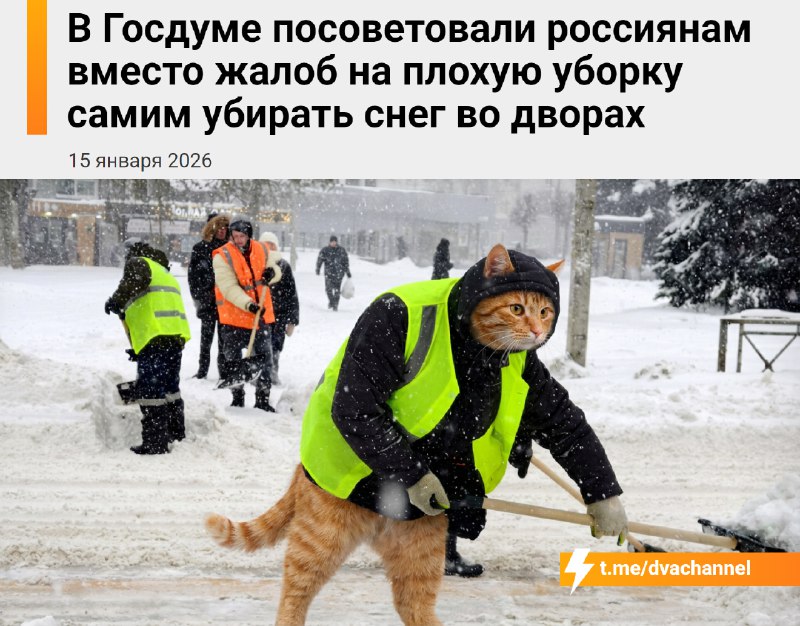 В Госдуме посоветовали россиянам самостоятельно чистить снег во дворах вместо того, чтобы жаловаться