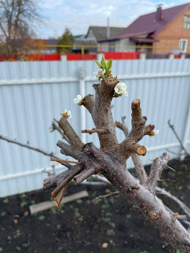 4 ноября в прошлом году и в этом году
😳
