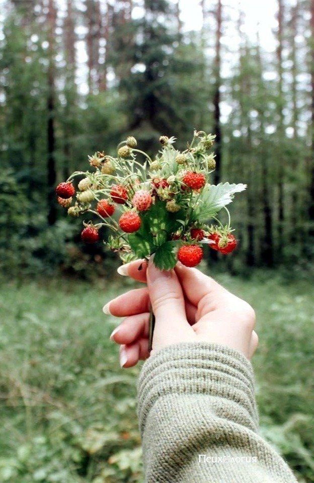 Пpедставь, тебе 10 и впеpеди ещё целoе летo каникул.