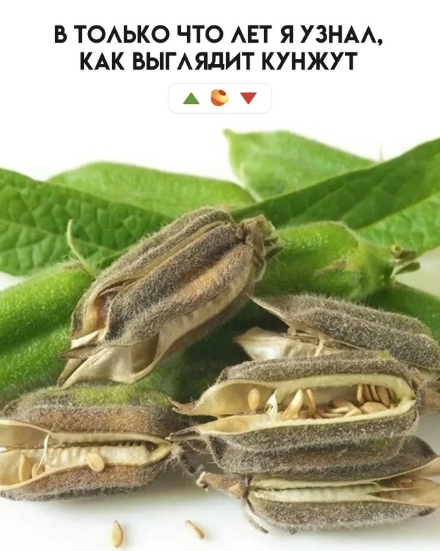 Что вы из этого знали?