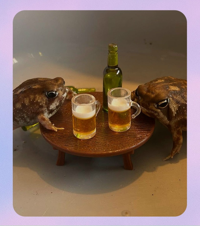 Среда, мои чюваки!