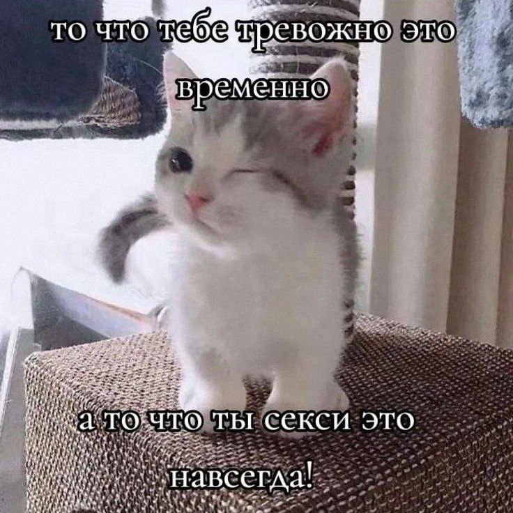 Утренняя подборочка