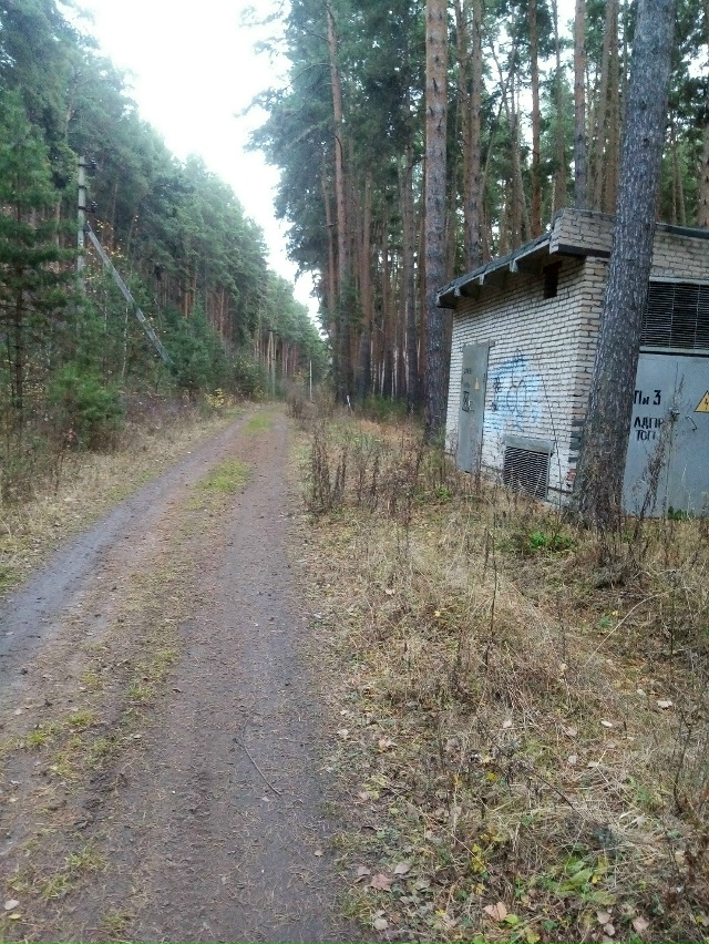 Немного позитива в ленту,.На снимках-осенняя прогулка ?...